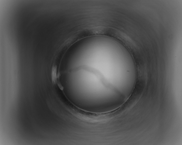 X0000100750028200806261553