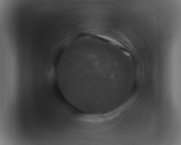 X0000100750029200806261553