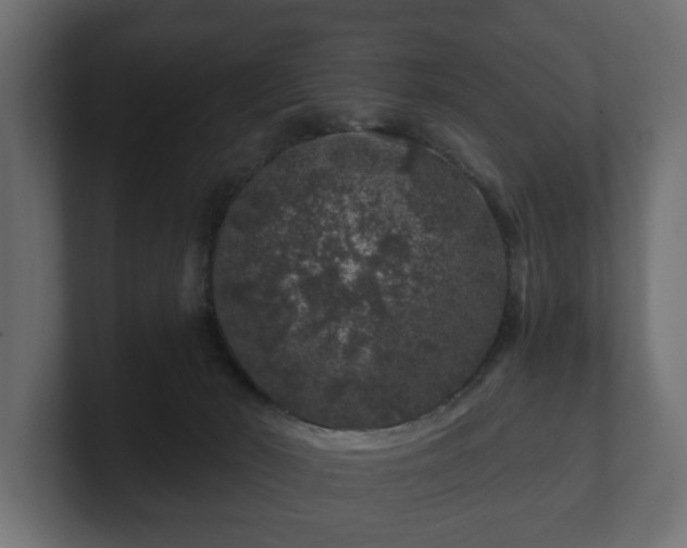 X0000100750030200806261553