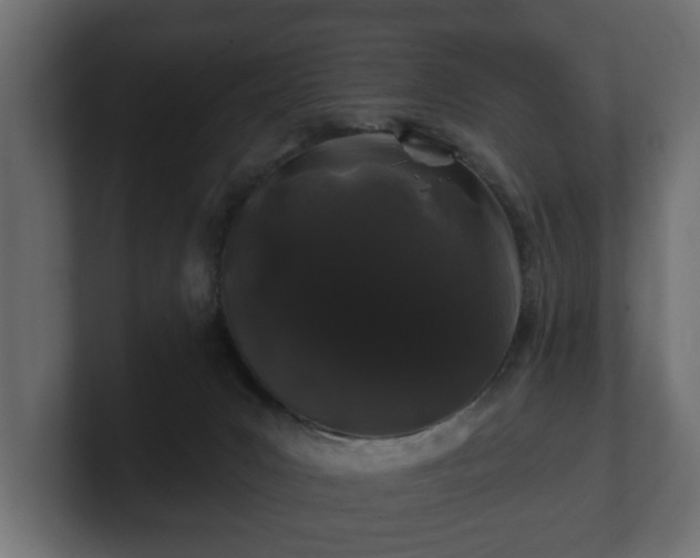 X0000100750031200806261553