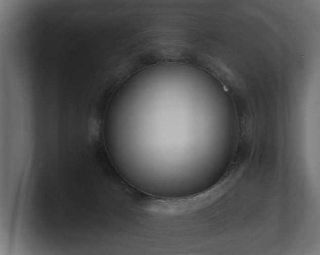 X0000100750033200806261553