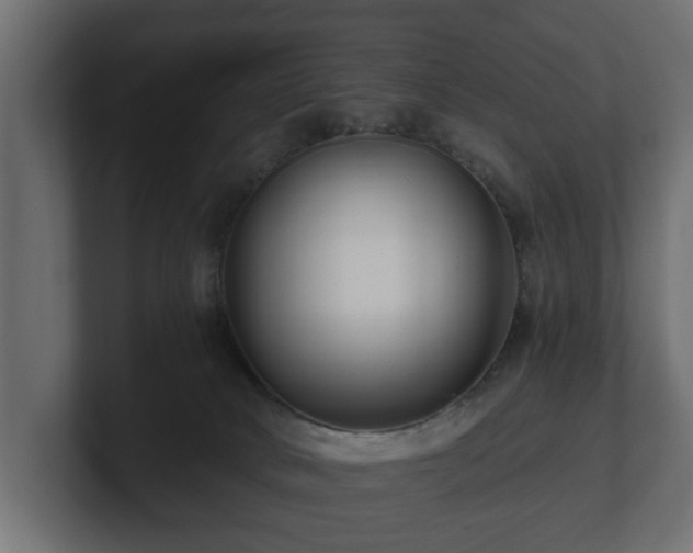 X0000100750034200806261553