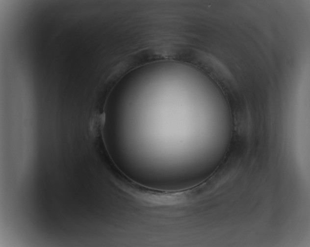 X0000100750036200806261553