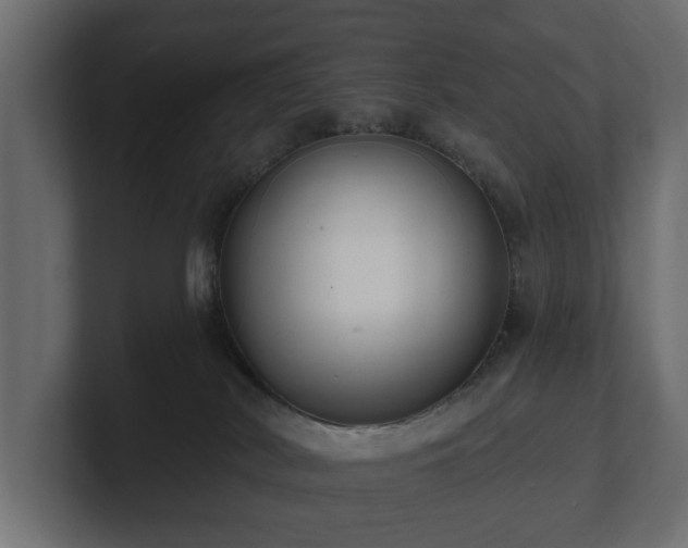 X0000100750038200806261553