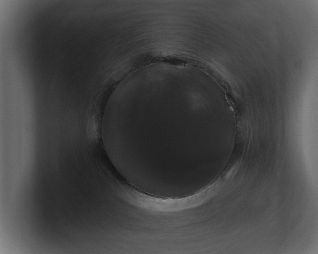 X0000100750039200806261553