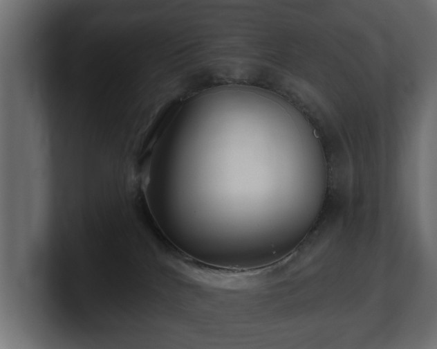 X0000100750040200806261553