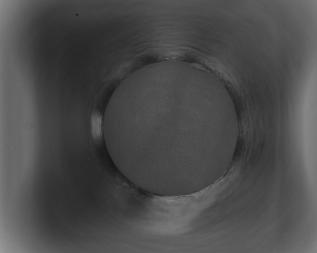 X0000100750041200806261553