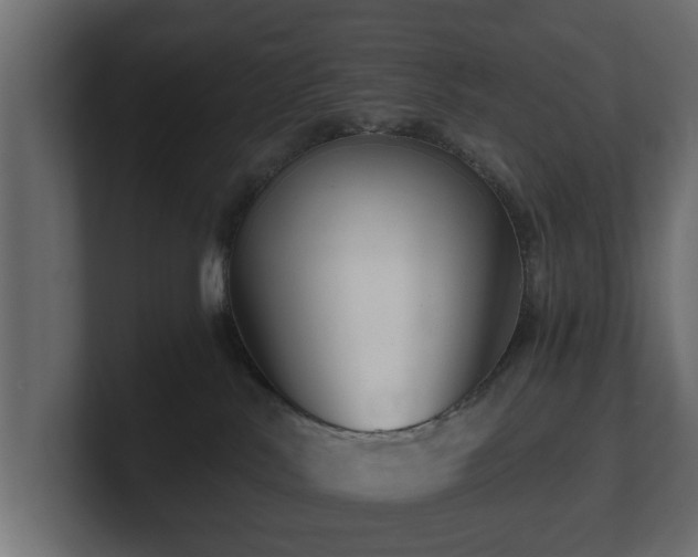 X0000100750042200806261553