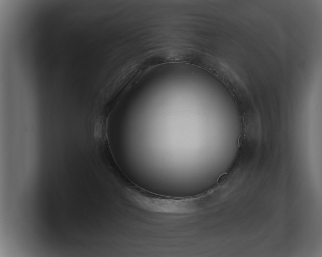 X0000100750044200806261553