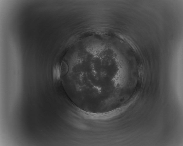 X0000100750046200806261553