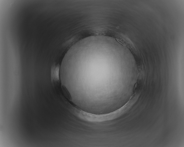 X0000100750047200806261553