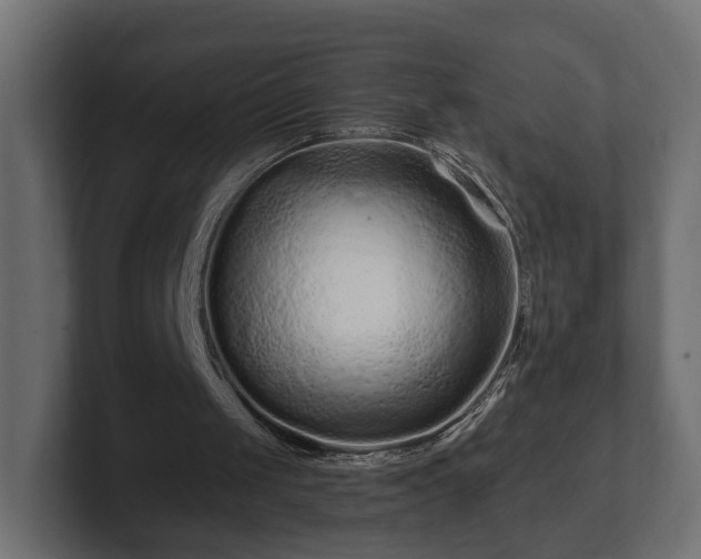 X0000100750049200806261552