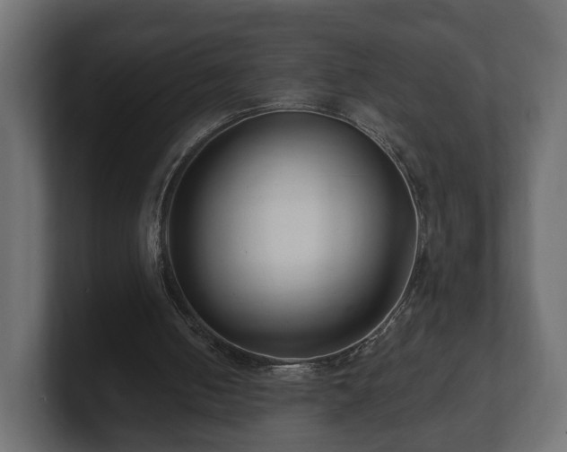 X0000100750050200806261552