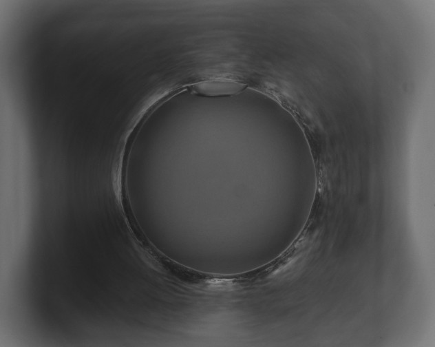 X0000100750052200806261552