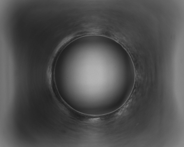 X0000100750054200806261552