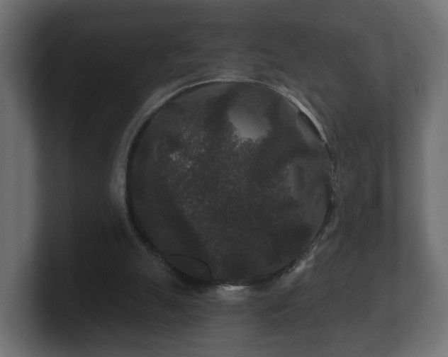 X0000100750055200806261552