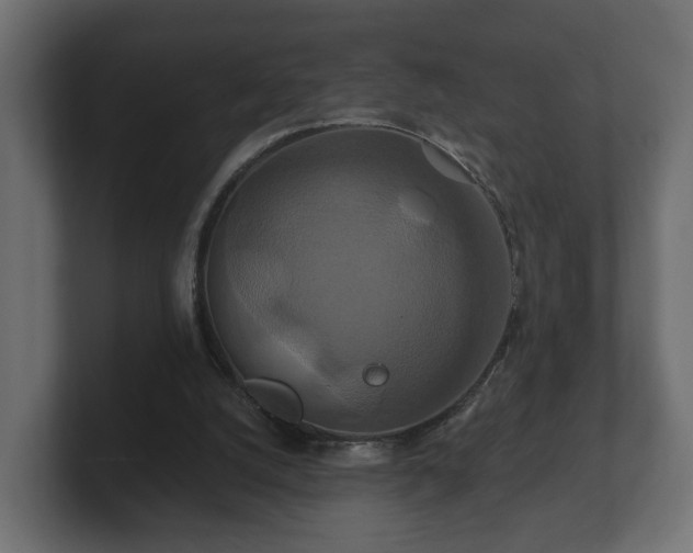 X0000100750056200806261552