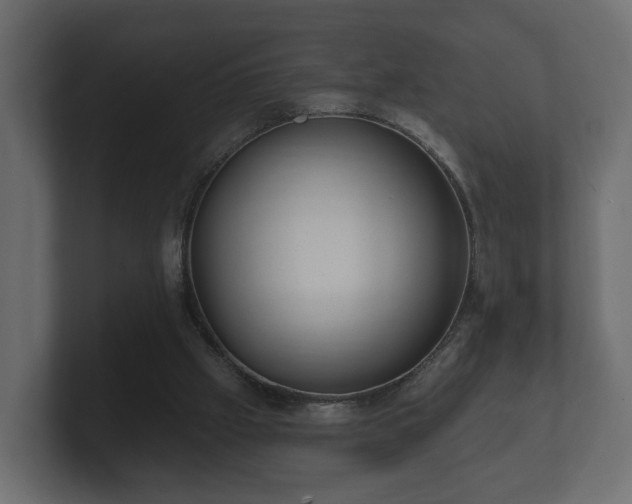 X0000100750057200806261552