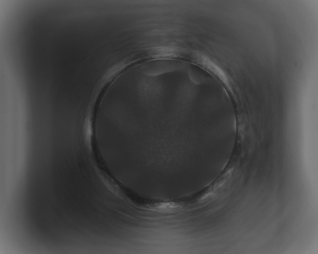 X0000100750059200806261552