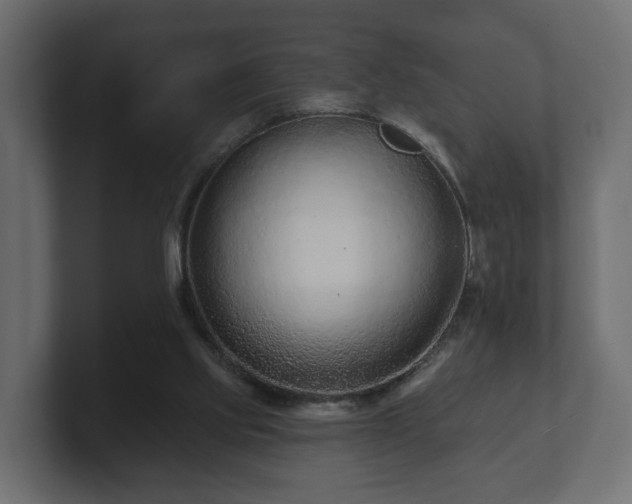 X0000100750061200806261552