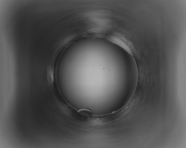 X0000100750062200806261552