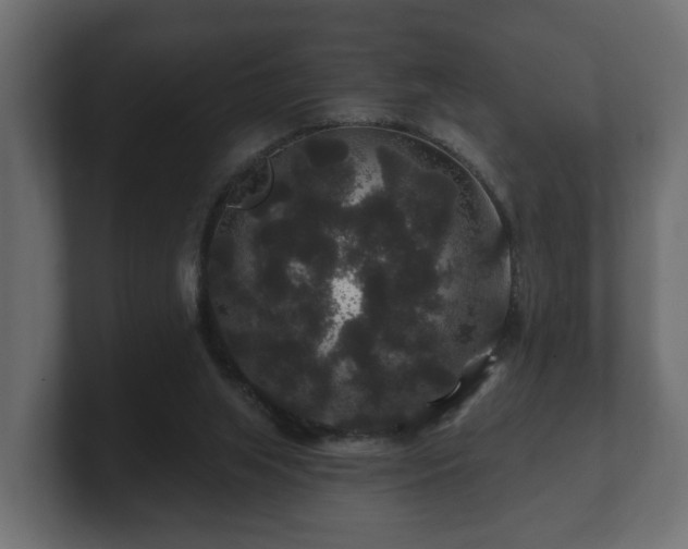 X0000100750063200806261552