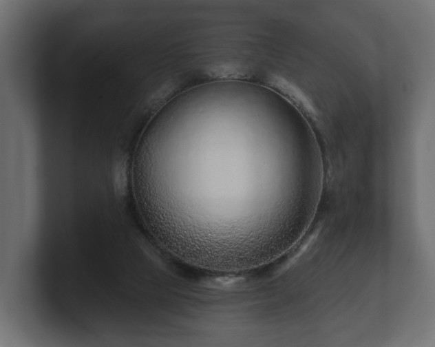 X0000100750065200806261552