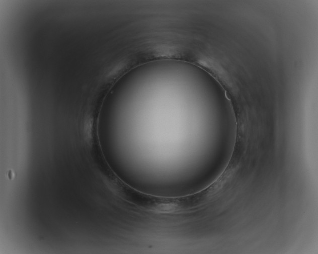 X0000100750066200806261552