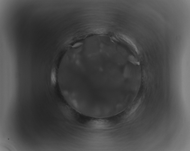 X0000100750069200806261552