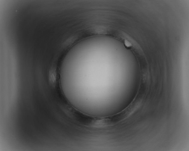 X0000100750072200806261552