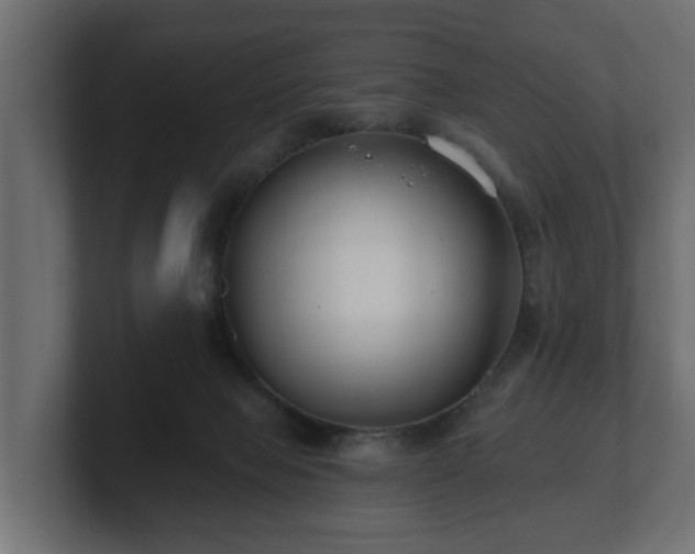 X0000100750077200806261552