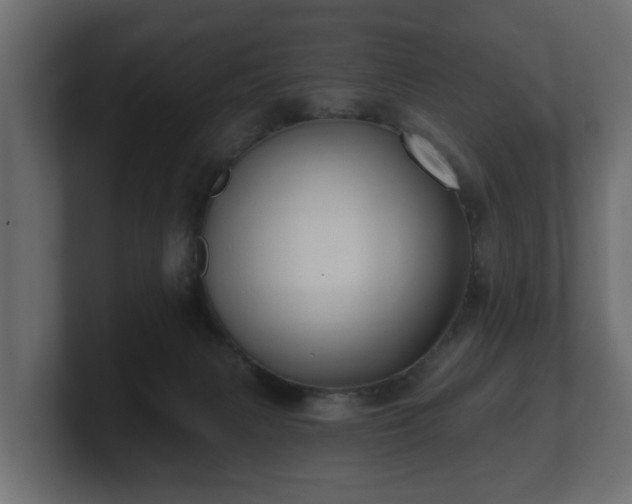 X0000100750079200806261552