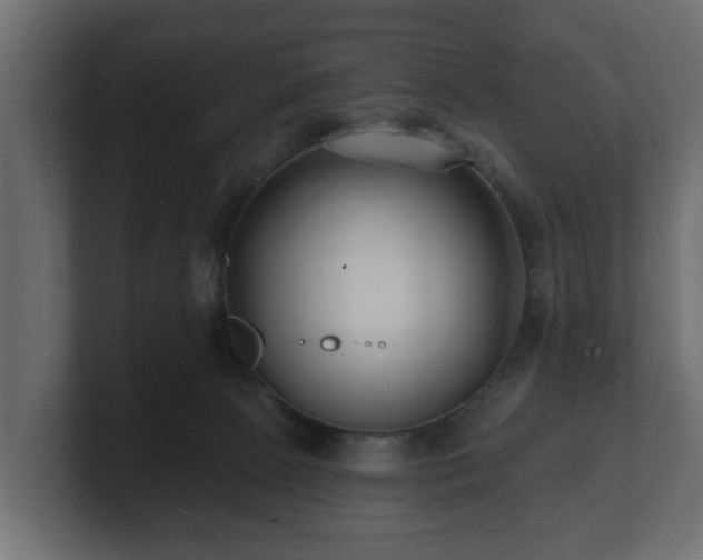 X0000100750081200806261552