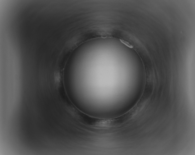 X0000100750084200806261552