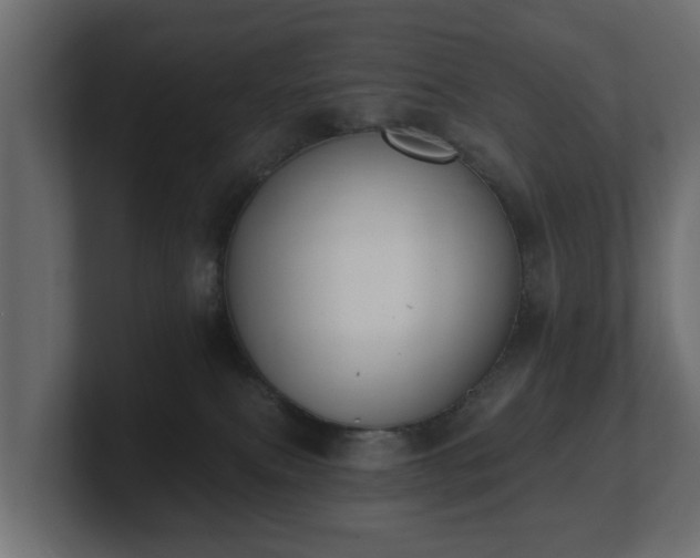 X0000100750087200806261553