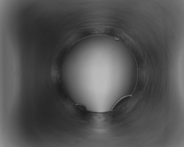 X0000100750091200806261553