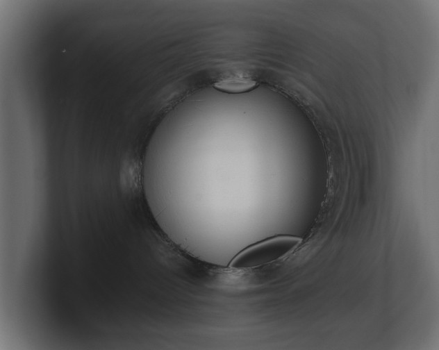 X0000100750096200806261553