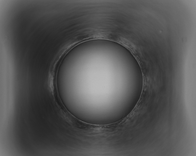 X0000100750098200806261552