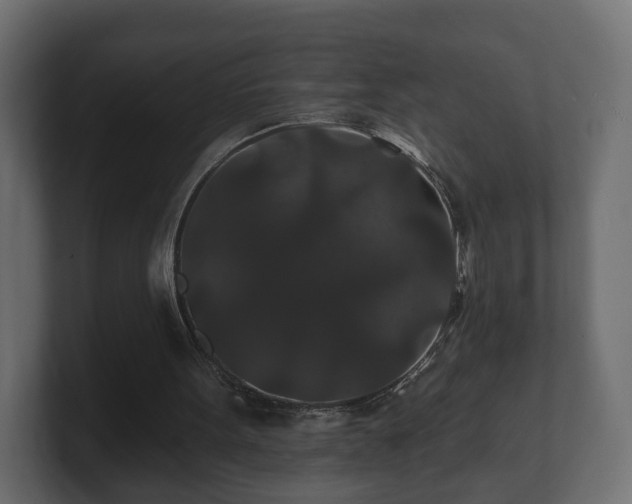 X0000100750099200806261552