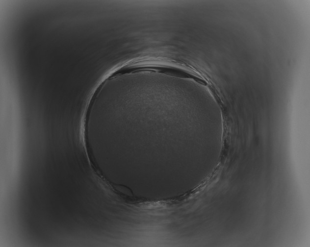 X0000100750100200806261552