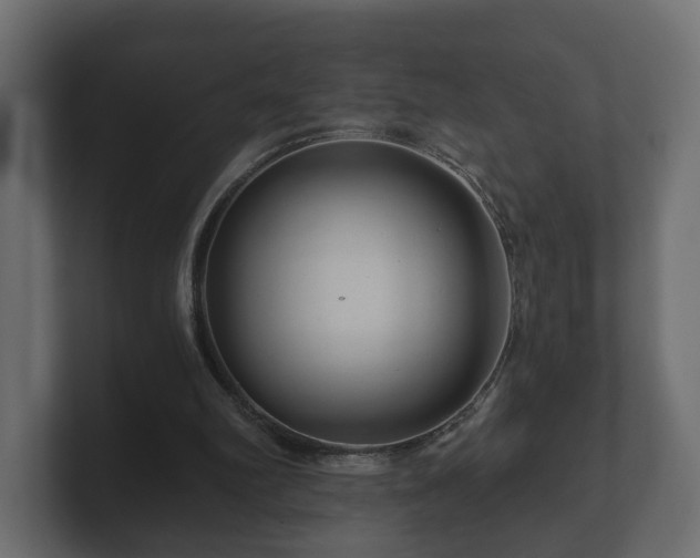 X0000100750102200806261552