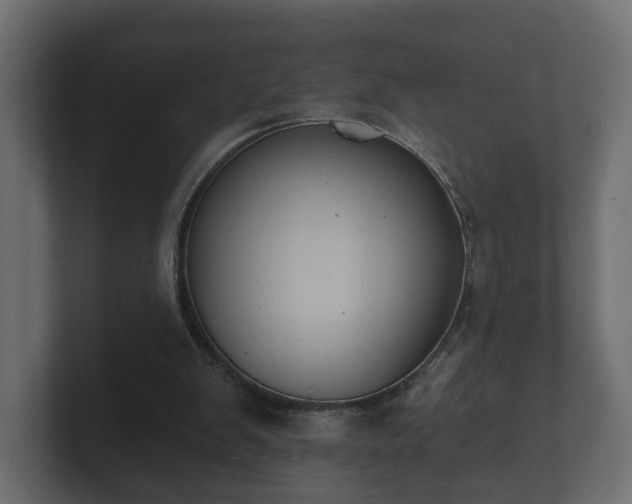 X0000100750103200806261552