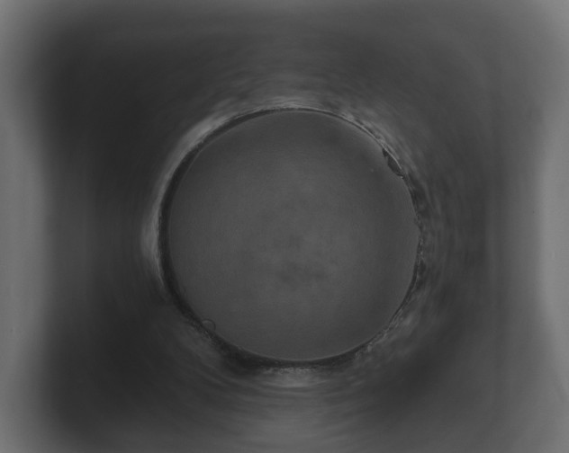 X0000100750104200806261552