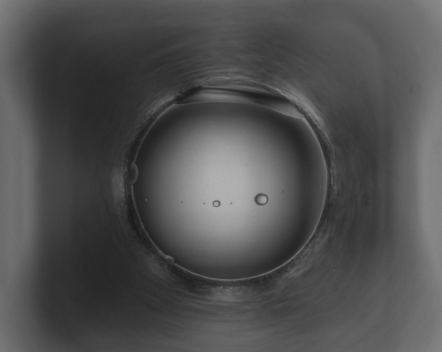 X0000100750105200806261552