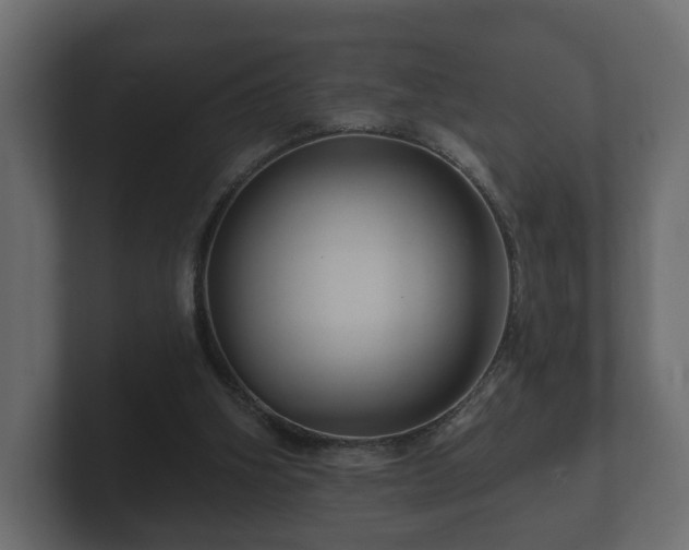 X0000100750106200806261552