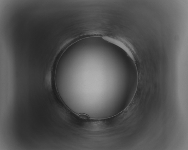 X0000100750108200806261552