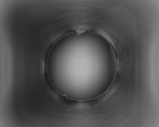 X0000100750109200806261552