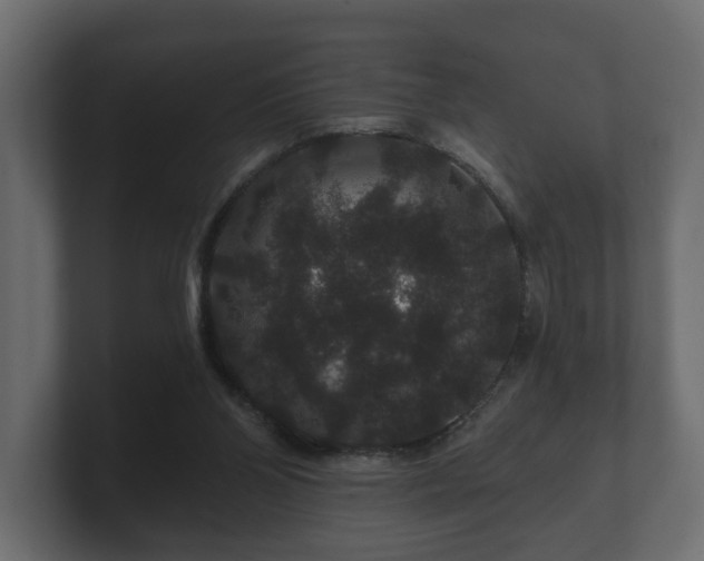 X0000100750110200806261552