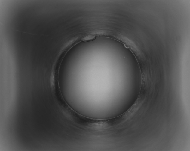 X0000100750112200806261552