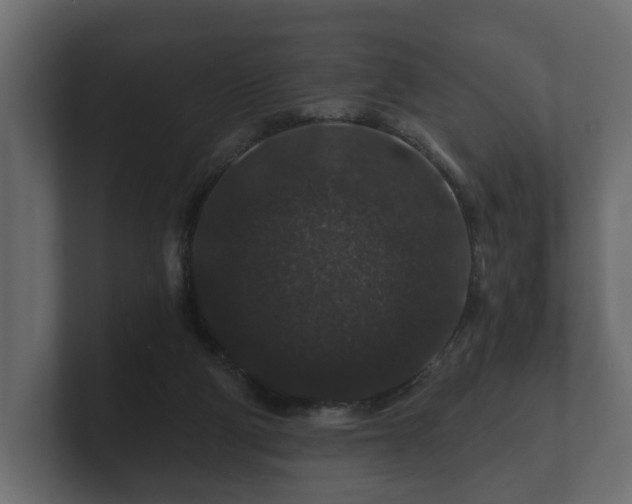 X0000100750114200806261552